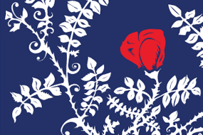 Steepwater Band “Rose” Poster