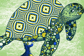 Steepwater Band “Turtle” Poster